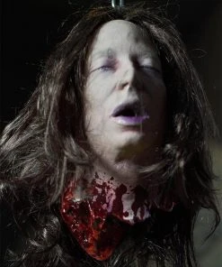 Distortions Unlimited MOST POPULAR Heather - Severed Head Prop