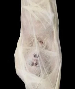 Distortions Unlimited All Products Spider Bites Prop