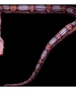 Distortions Unlimited Props Giant Snake