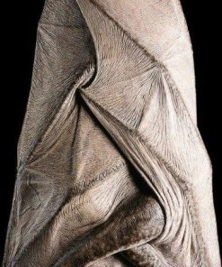 Distortions Unlimited Hanging Vampire Flat Back MOST POPULAR