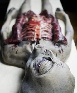 Distortions Unlimited All Products Alien Autopsy