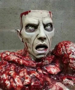 Distortions Unlimited Brain Bowl Prop MOST POPULAR