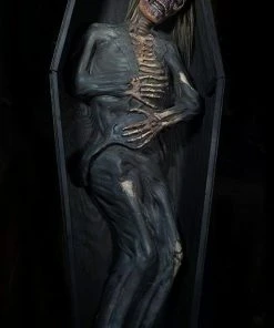 Distortions Unlimited MOST POPULAR Dead Again