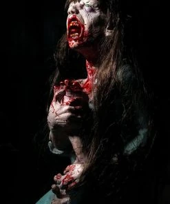 Distortions Unlimited MOST POPULAR Dead Debby