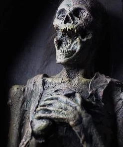 Distortions Unlimited Death MOST POPULAR