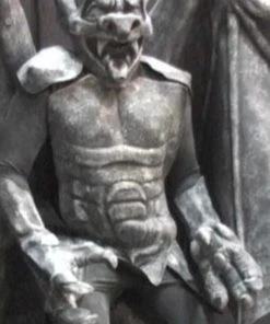 Distortions Unlimited Gargoyle Shock Costume Only All Products