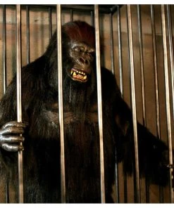Distortions Unlimited Gorilla In A Cage Animation All Products