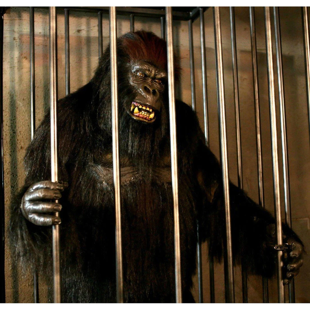 Distortions Unlimited Gorilla In A Cage Animation All Products 2 Distortions Unlimited Gorilla In A Cage Animation All Products