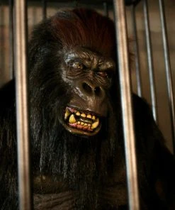 Distortions Unlimited Gorilla In A Cage Animation All Products 5 Distortions Unlimited Gorilla In A Cage Animation All Products