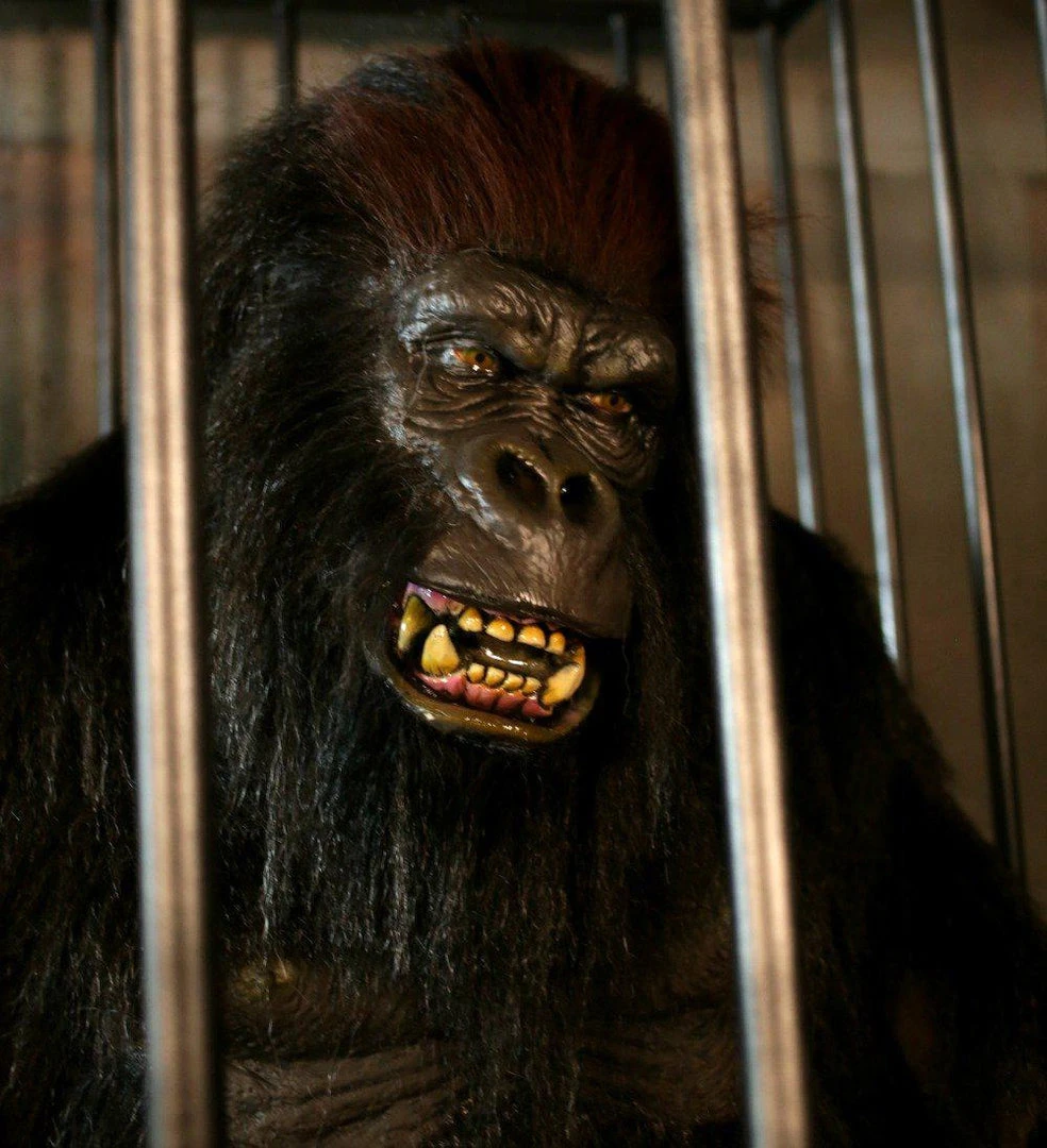 Distortions Unlimited Gorilla In A Cage Animation All Products 3 Distortions Unlimited Gorilla In A Cage Animation All Products