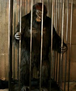 Distortions Unlimited Gorilla In A Cage Animation All Products