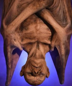 Distortions Unlimited Hanging Vampire Flat Back MOST POPULAR