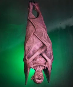 Distortions Unlimited MOST POPULAR Hanging Vampire