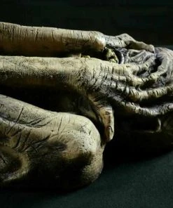 Distortions Unlimited Ancient Mummy MOST POPULAR