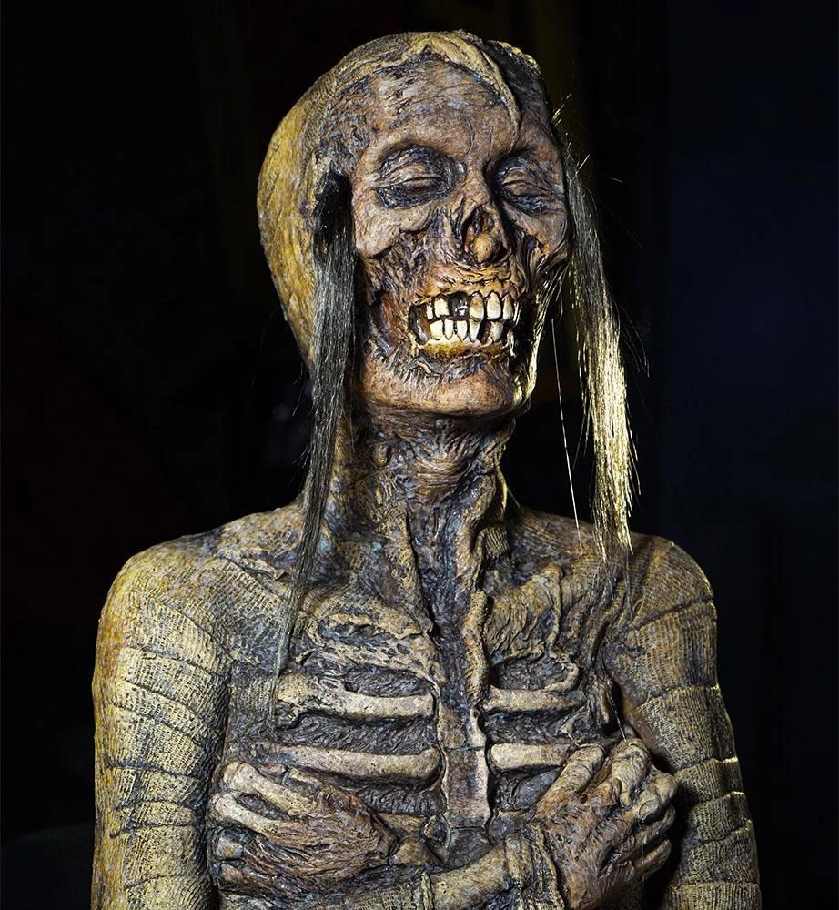 Distortions Unlimited Monster Mummy 3 Distortions Unlimited Monster Mummy