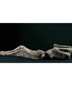 Distortions Unlimited Ancient Mummy MOST POPULAR