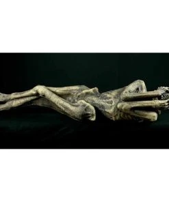 Distortions Unlimited Ancient Mummy MOST POPULAR