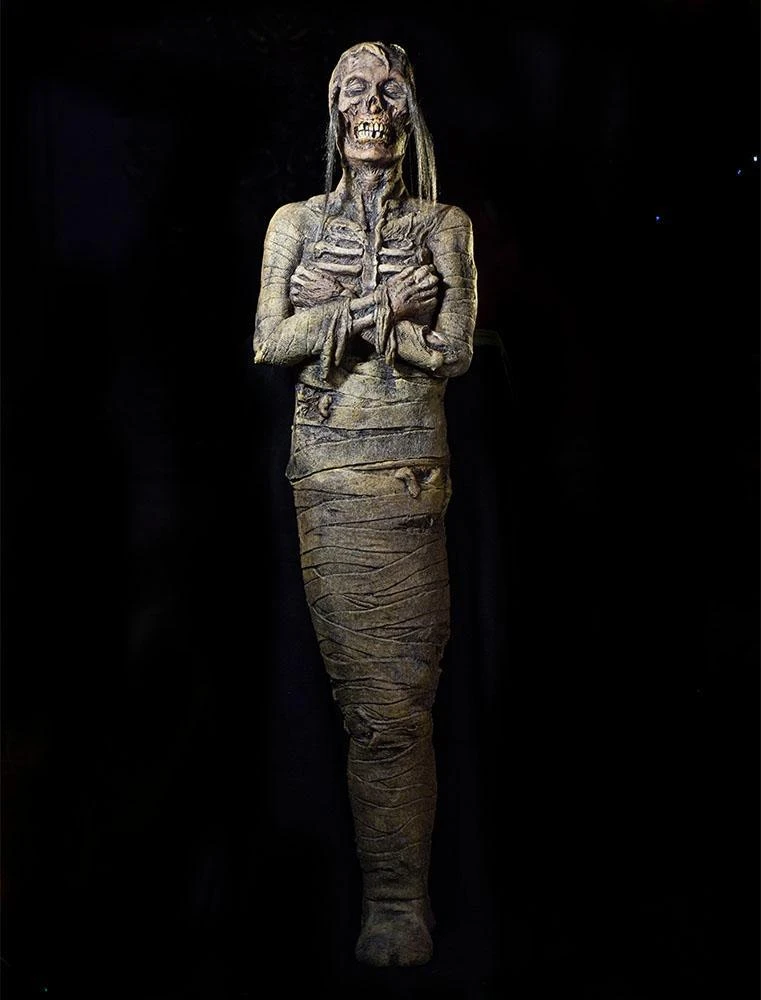 Distortions Unlimited Monster Mummy 1 Distortions Unlimited Monster Mummy