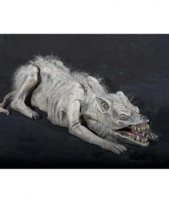 Vendor-unknown Props Old Slim