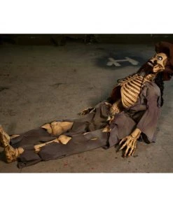 Distortions Unlimited Pirate-Shipwreck Sam Animatronics