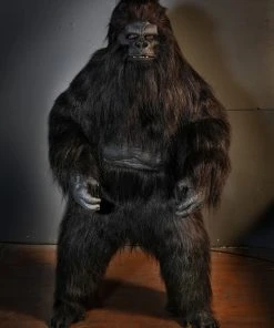Distortions Unlimited Gorilla Costume - Movie