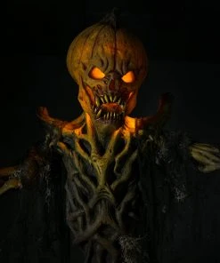 Distortions Unlimited MOST POPULAR Pumpkin Patch Combo