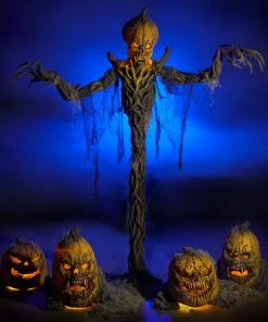 Distortions Unlimited MOST POPULAR Pumpkin Patch Combo