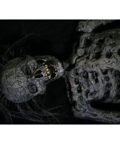 Distortions Unlimited Rot All Products