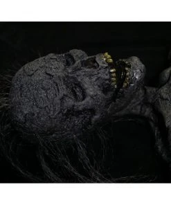 Distortions Unlimited Rot All Products