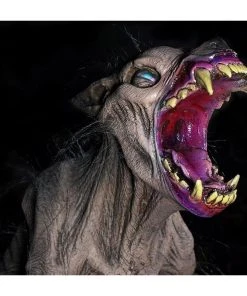 Distortions Unlimited Rotten Rover Prop All Products