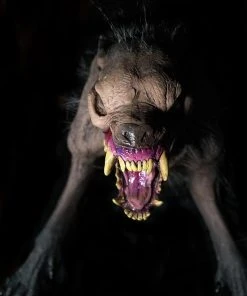 Distortions Unlimited Rotten Rover Prop All Products