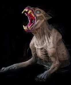 Distortions Unlimited All Products Rotten Rover