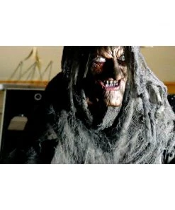 Distortions Unlimited Swamp Hag