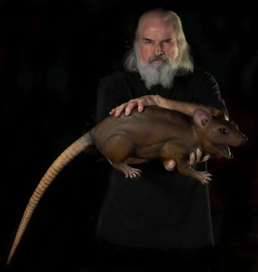 Distortions Unlimited All Products Willy The Rat