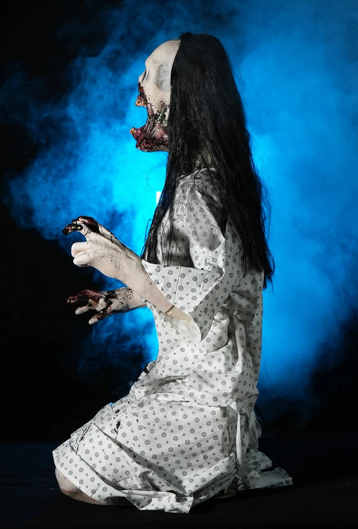 Distortions Unlimited MOST POPULAR Wretched 6 Distortions Unlimited MOST POPULAR Wretched