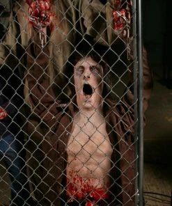 Distortions Unlimited All Products Zombie Outbreak Shock